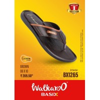 Chappal3